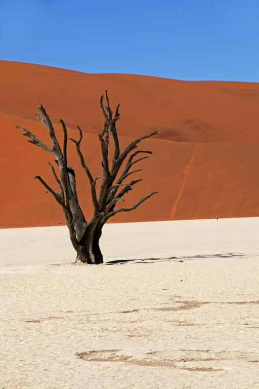Une zone désertique de Namibie
