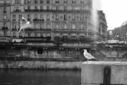 © Magali