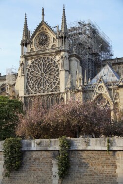 Cathédrale Notre Dame