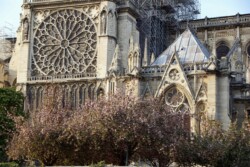 Cathédrale Notre Dame