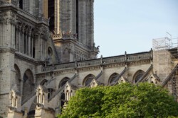 Cathédrale Notre Dame