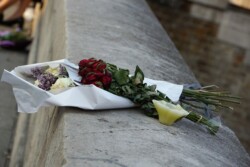 Cathédrale Notre Dame