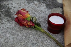 Cathédrale Notre Dame