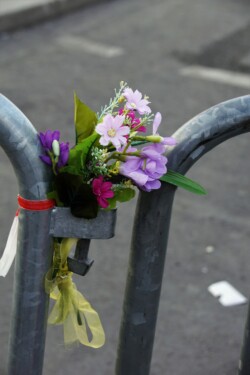 Cathédrale Notre Dame