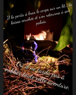 © Joseph Du Cheyron