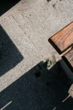 lignes contraires © Jean-François Forget