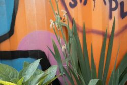 lignes contraires © Jean-François Forget