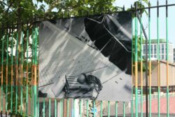 lignes contraires © Elodie Cherittwizer