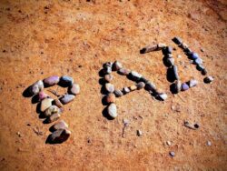 © Chrystelle Trompas