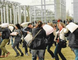 © Chrystelle Trompas