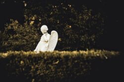 © Chrystelle Trompas