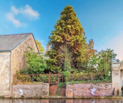 © Chrystelle Trompas