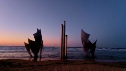 © Chrystelle Trompas