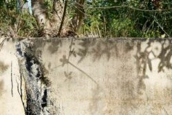 © Jean-François Forget