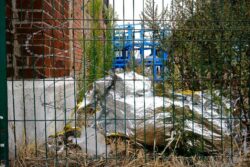 © Jean-François Forget