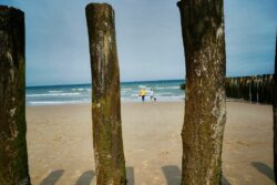 © Jean-François Forget