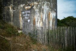 © Jean-François Forget