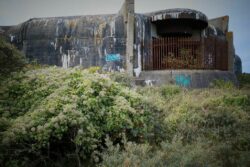 © Jean-François Forget