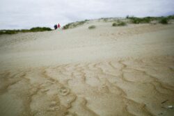 © Jean-François Forget