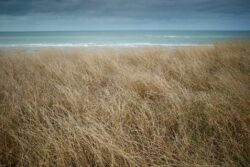 © Jean-François Forget