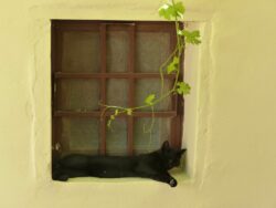 © Elodie Cherittwizer