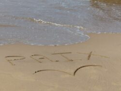 © Elodie Cherittwizer